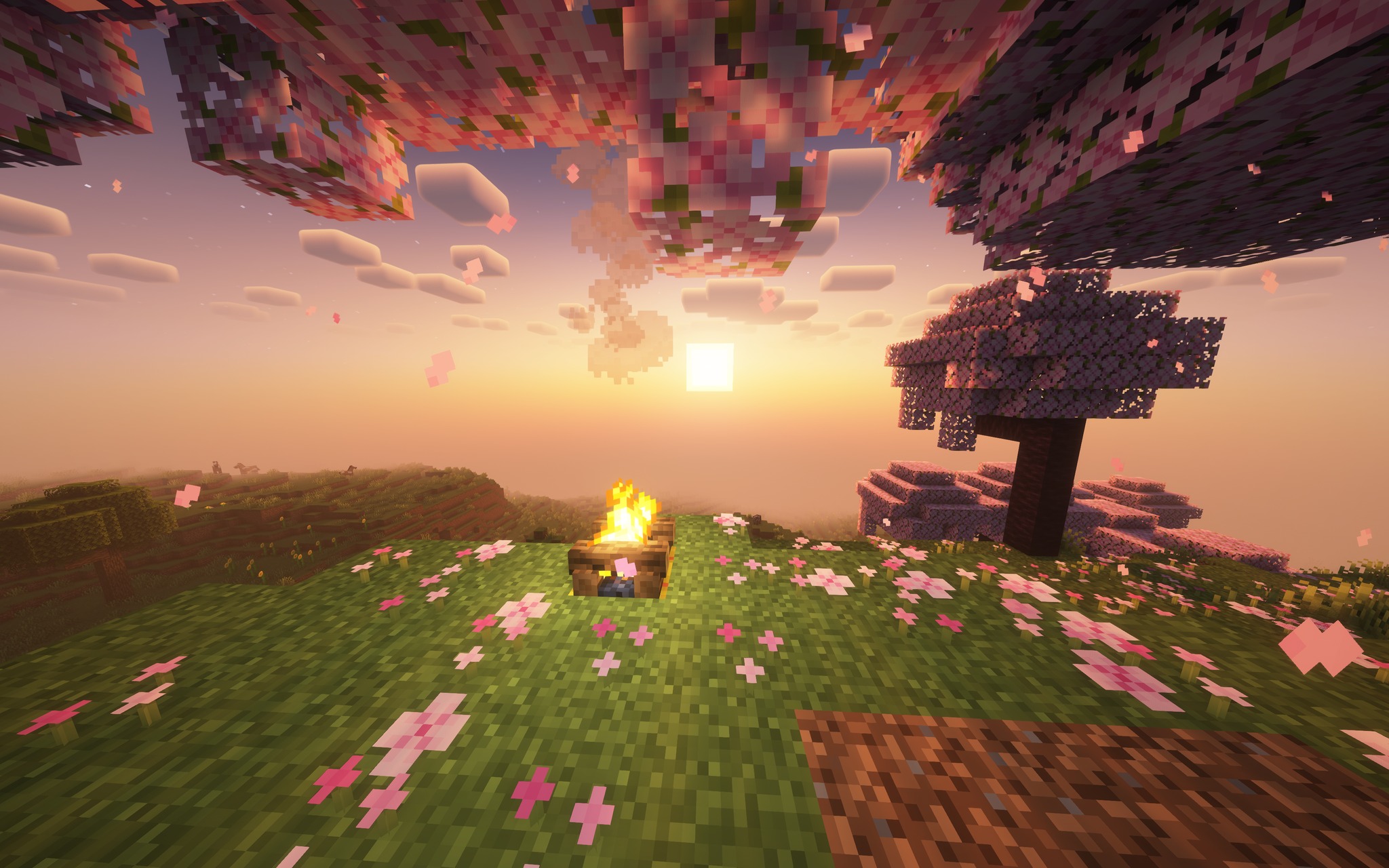 PvP Arena